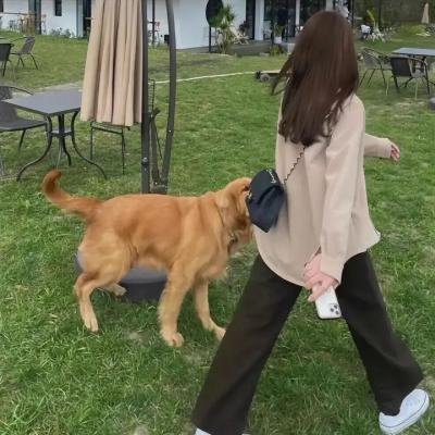 男人与女人