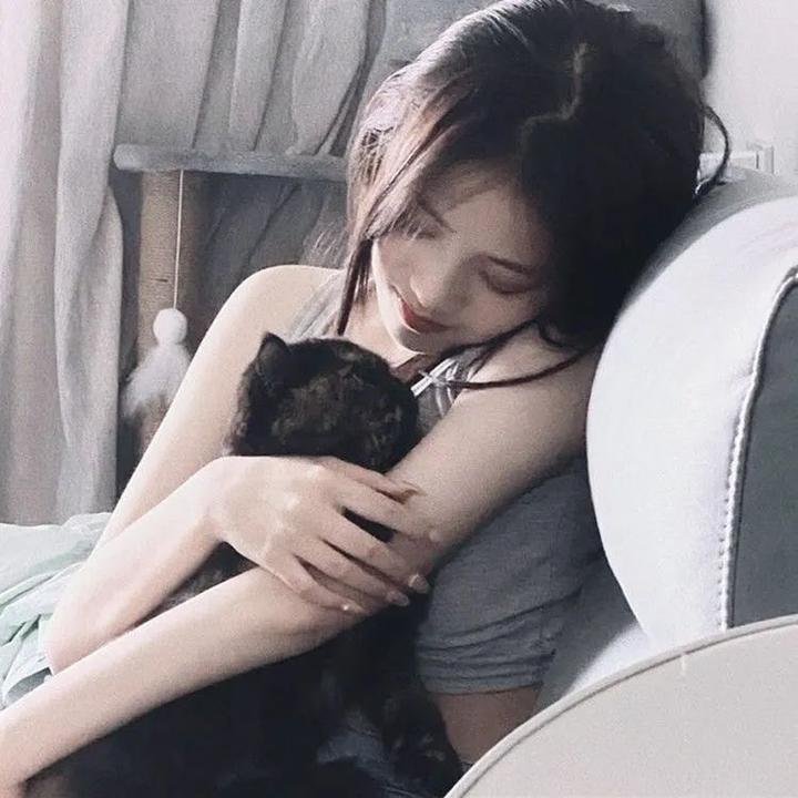 我的宠物是大象